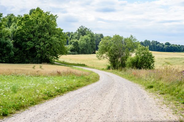 Cost of Stone Driveway Repair in Danbury
