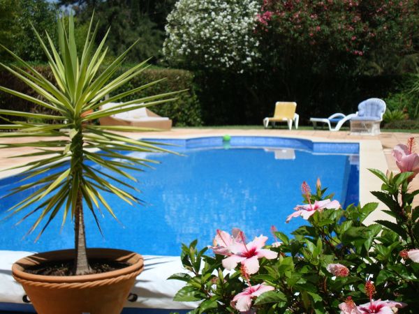 Cost of Pool Terrace Renovation in Danbury
